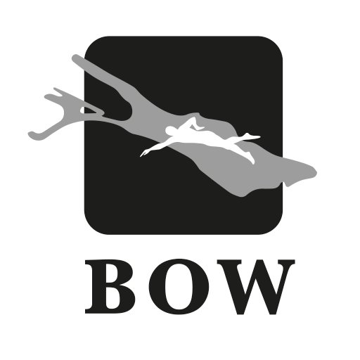 Bodensee Openwater Schwimmen Friedrichshafen-Romanshorn Logo