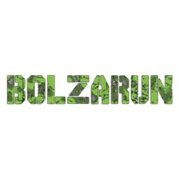 Bolzarun