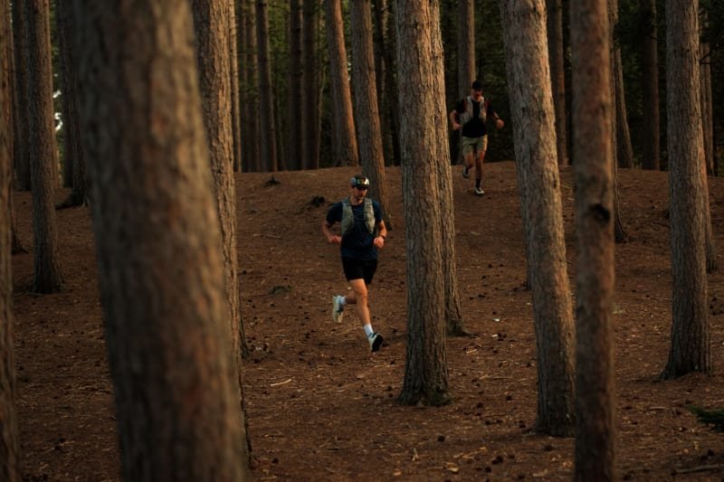 Boréalys Mont-Tremblant by UTMB - Diable 20K Logo