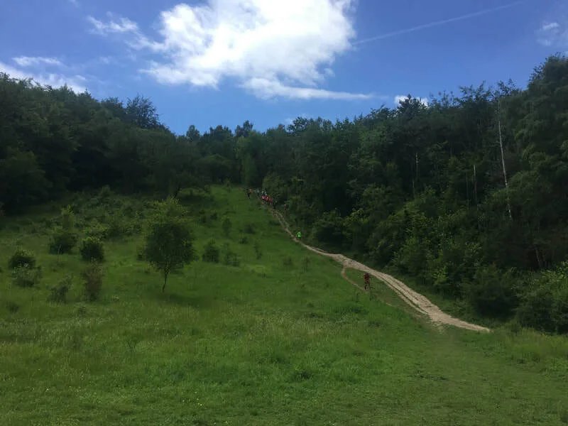 Box Hill Vertical KM Logo