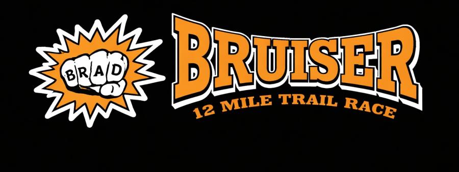 BRADBURY BRUISER Logo