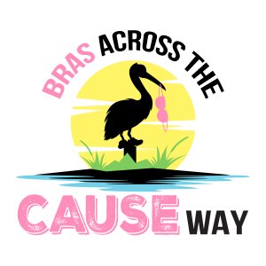Bras Across the CAUSEway 5k & Festival