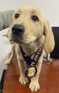 Brian J. Smith CHAMP 5K - all proceeds benefit CHAMP Assistance Dogs
