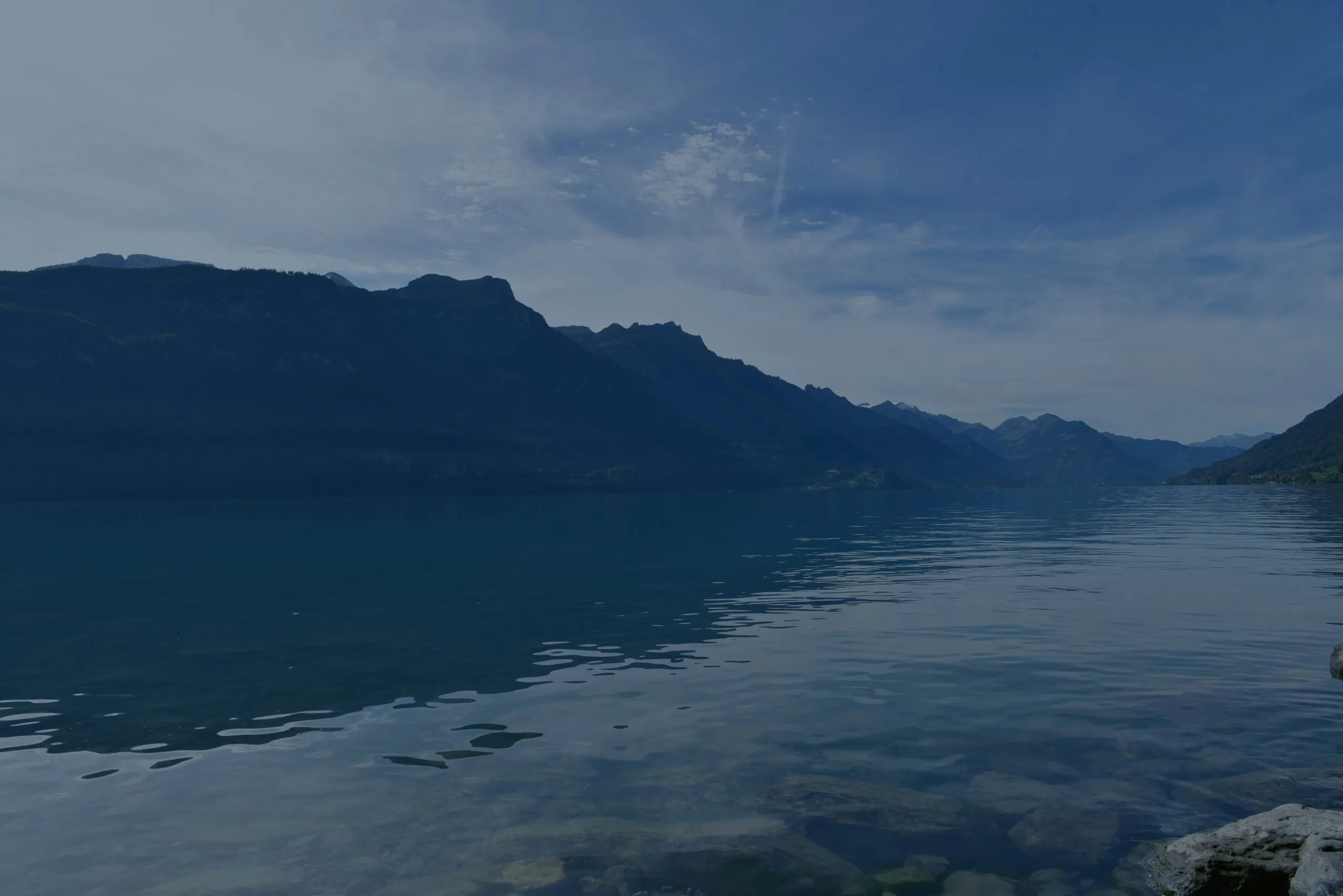 Brienzerseelauf Logo