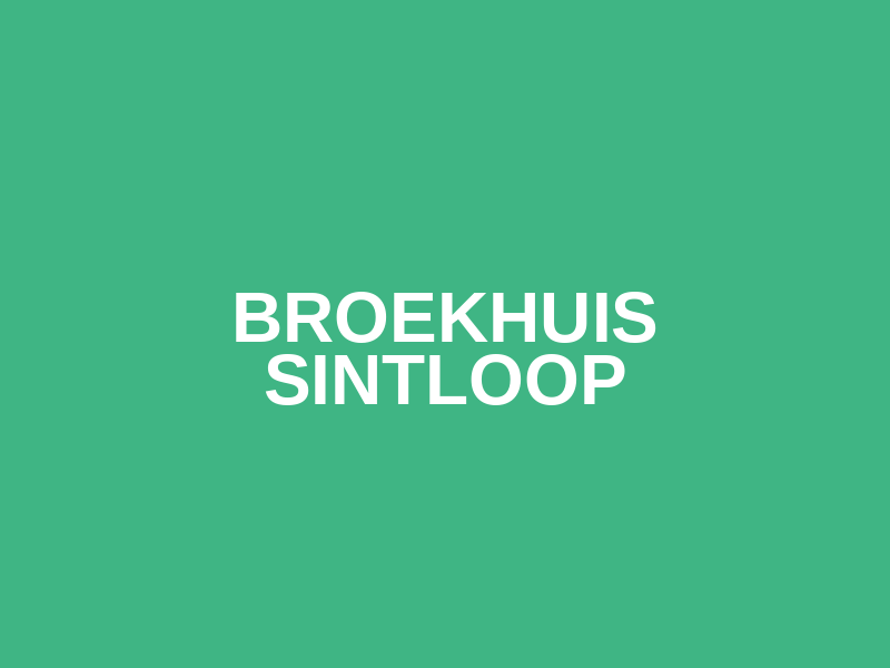 Broekhuis Sintloop Logo