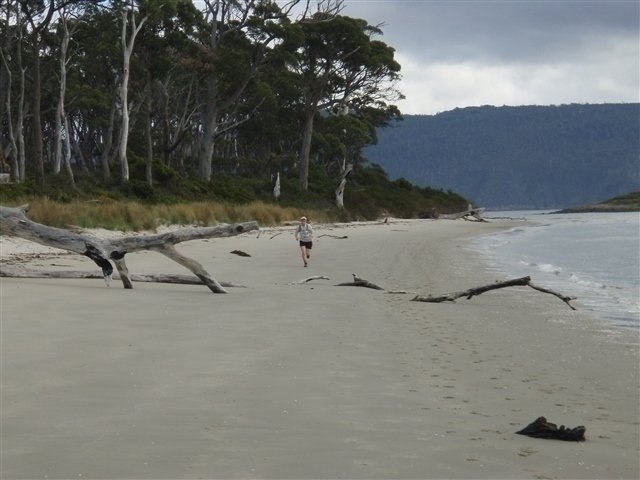 Bruny Island run-Labillardiere 2026 Logo
