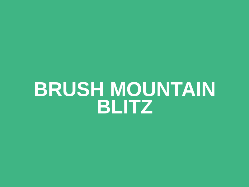 Brush Mountain Blitz Logo