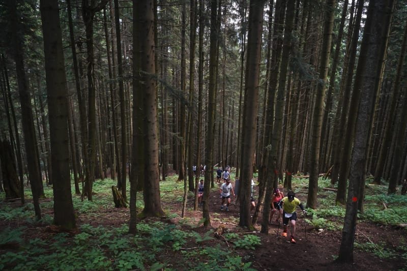 Bucovina Ultra Rocks by UTMB - RUNC CHALLENGE