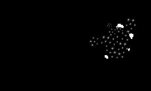 Cactus Rose Endurance Trail Race Logo