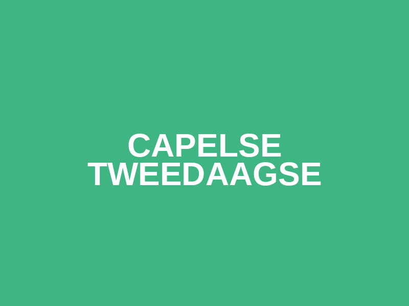 Capelse Tweedaagse Logo