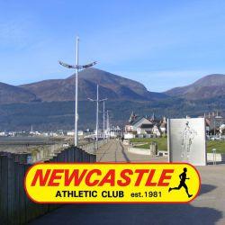 Castlewellan Christmas Cracker Logo