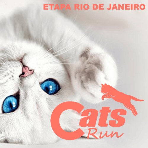 CATS RUN RJ 2026 Logo