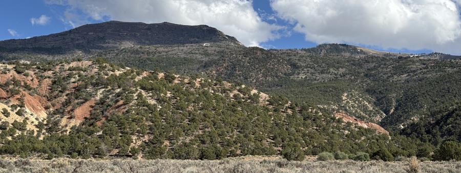 Cedar City Uphill Ultra