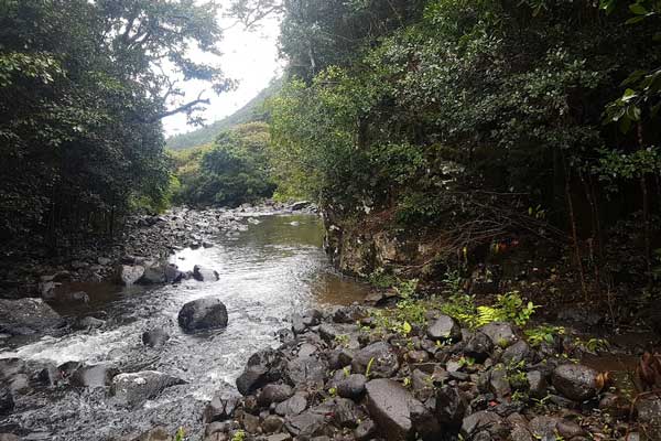 Championnat de Trail de Maurice Logo