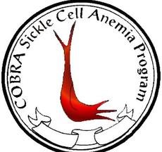 Charleston Alphas Sickle Cell Awareness 5K  Run/Walk
