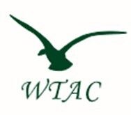 Charlie Stavros Memorial Beach Run Logo