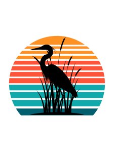 Chase Summer 5K Logo