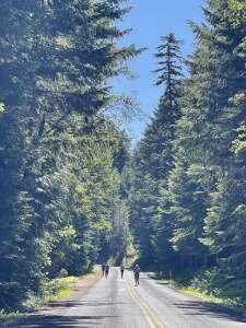 Clear Lake Memorial Runs