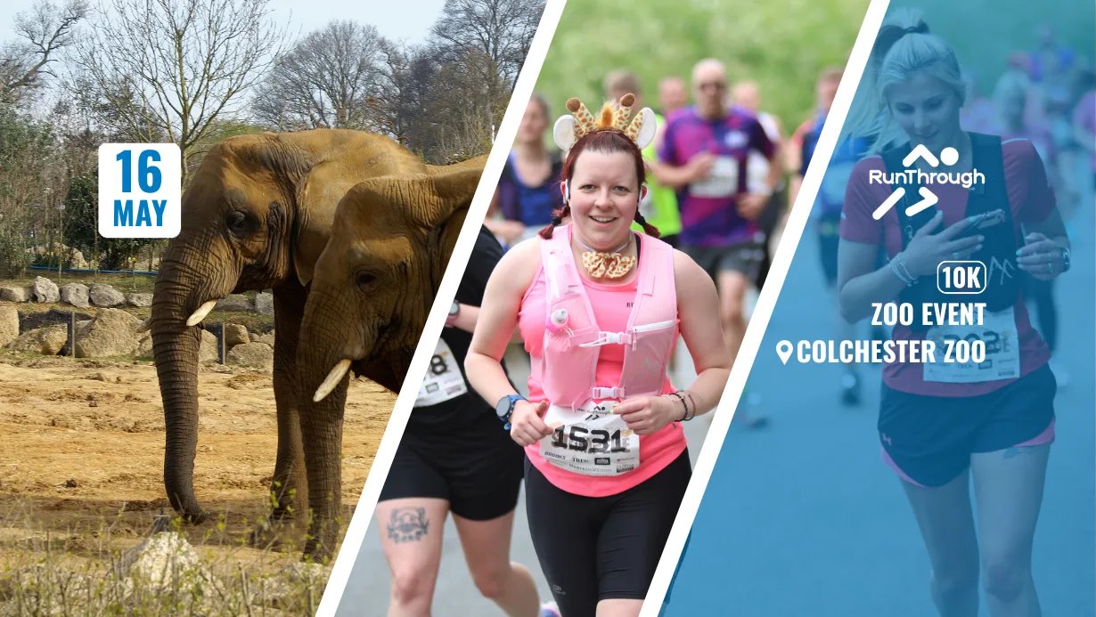 Colchester Zoo Stampede 10k Logo
