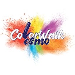 Color Run Lesmo Logo