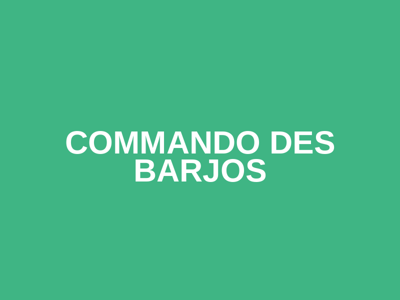 COMMANDO DES  BARJOS Logo