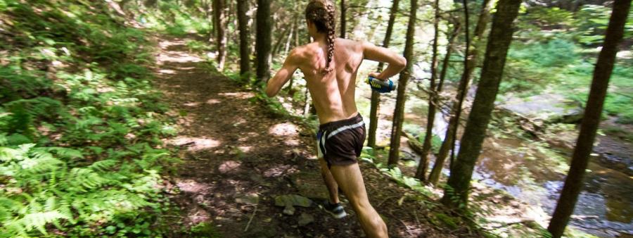 Cook Forest 25k Trail Challenge Logo