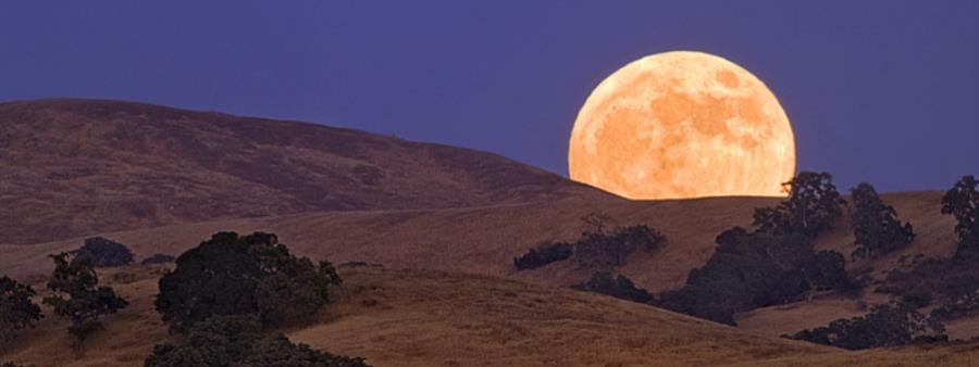 Cool Moon 100 Mile Endurance Run