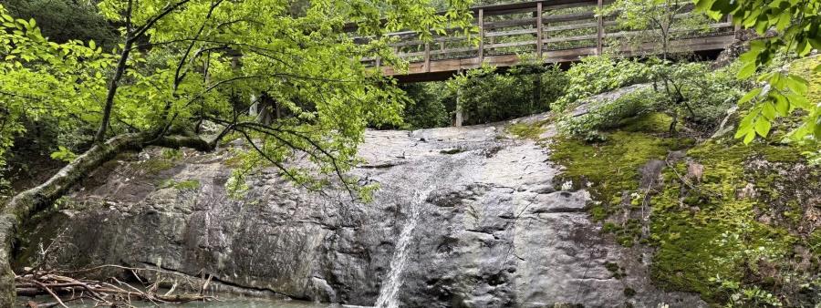 Cossatot River Trail Run Logo