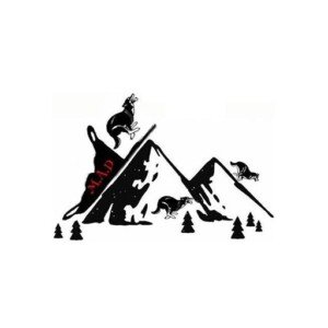 Course des Volcans 2026 Logo