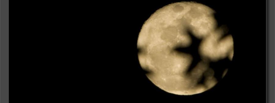 Coyote Two Moon Logo