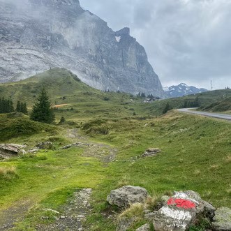 Crossing Switzerland