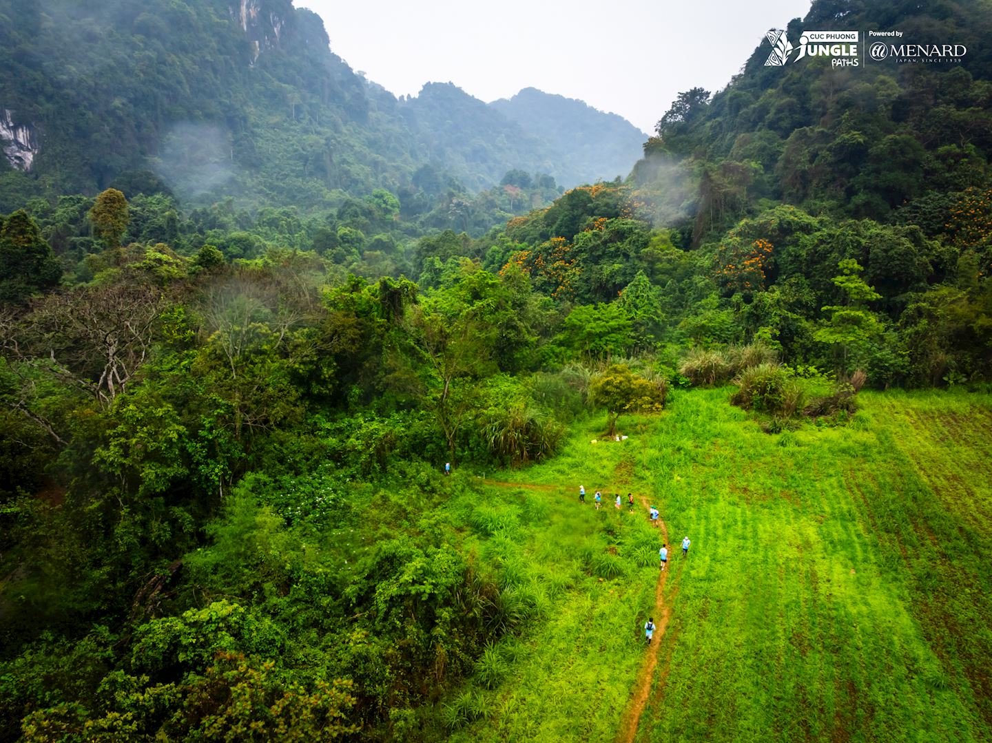 Cuc Phuong Jungle Paths Logo