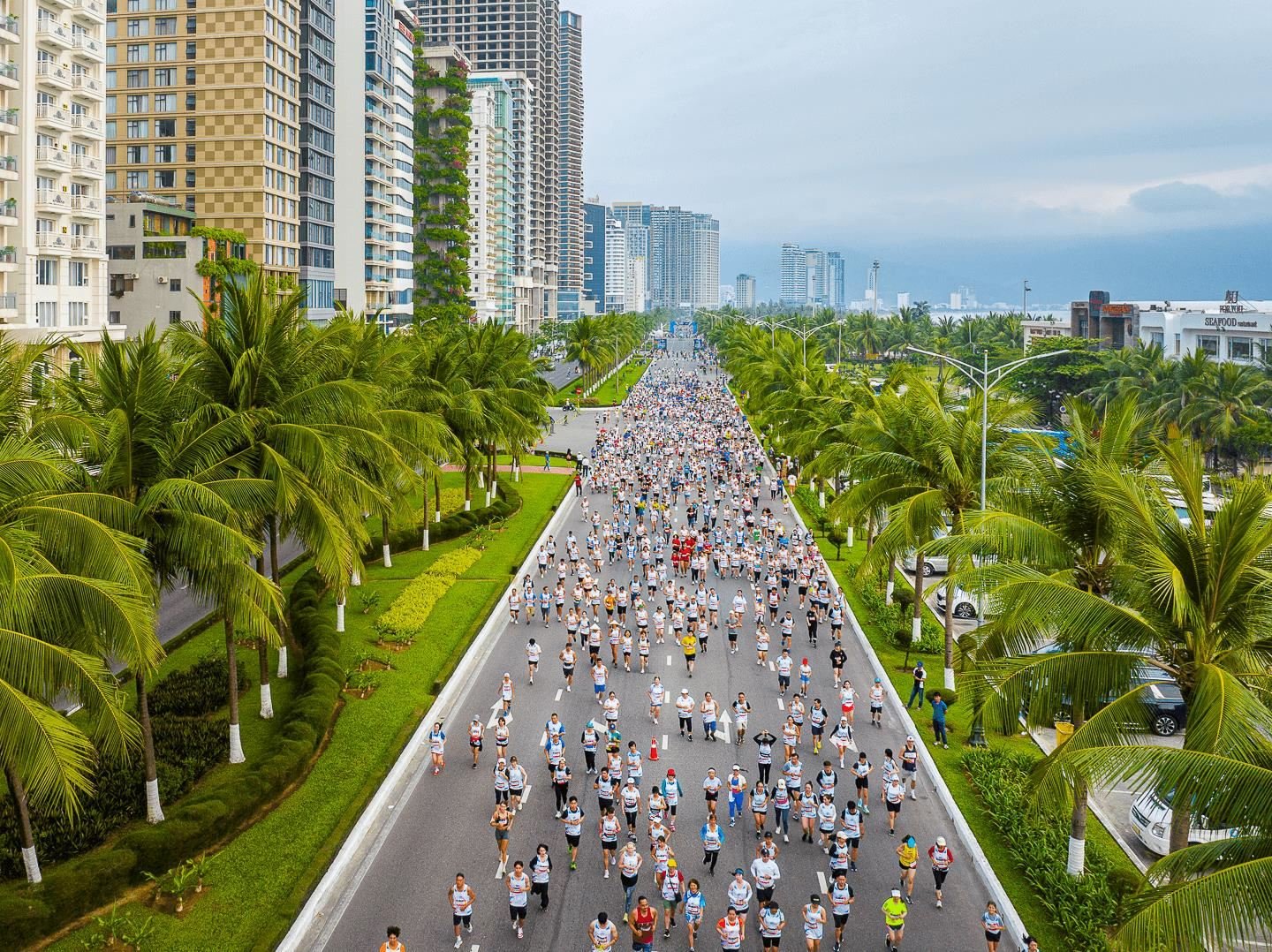 Danang International Marathon Logo