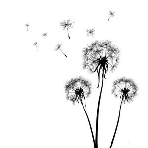 Dandelion Run - 5k / 10k Trail Race Logo