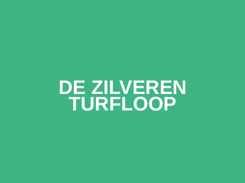 De Zilveren Turfloop