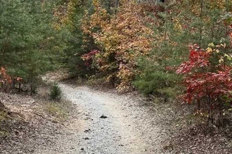 Deam Lake Loop Trail Run Logo