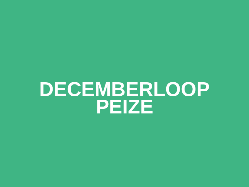 Decemberloop Peize Logo