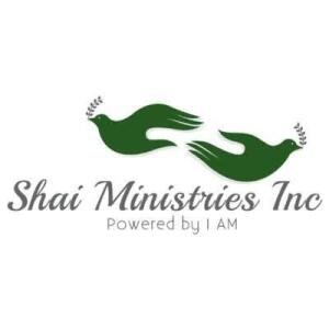 Defender of Men 5K & 1 Mile Fun Run Logo