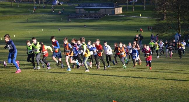 DEMO VERSION LSSA Cross Country League 2026-27 Logo