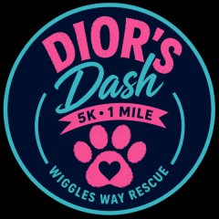 Dior's Dash Logo