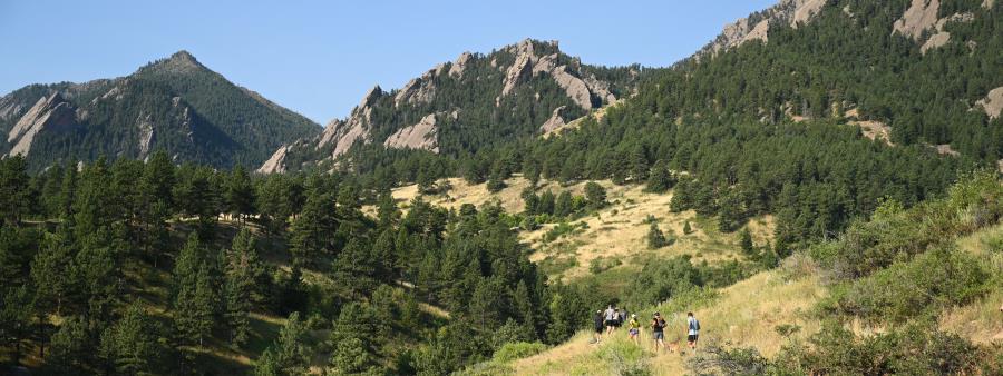 Dirt Circus - Boulder Logo