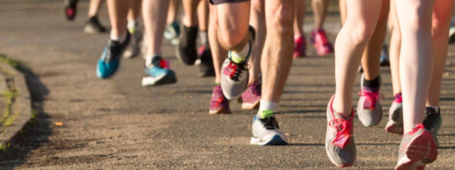 D&Ks Wooly Worm Festival 5k Logo