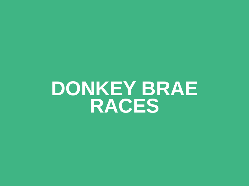Donkey Brae Races Logo