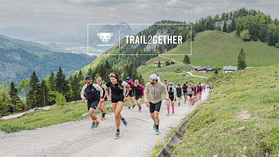 DYNAFIT ULTRA TOUR -  Intersport Les Rousses