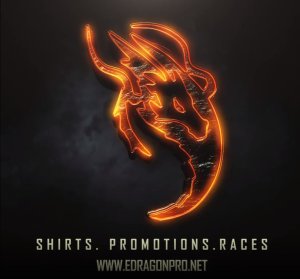 E-Dragon Run Festival Logo