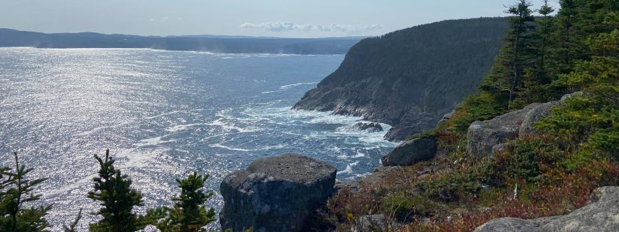 ECT 50% Half Marathon