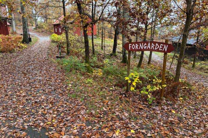 Edsvidsleden Trailrun