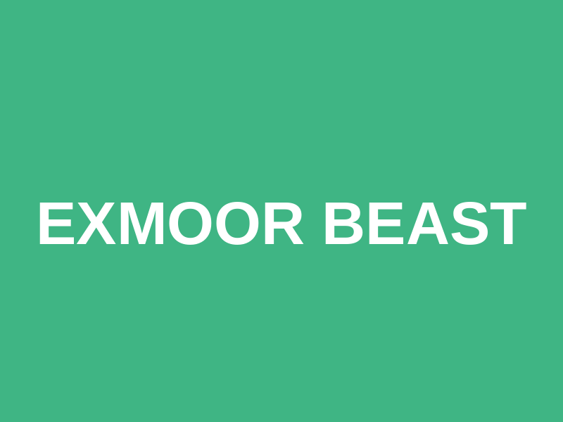 Exmoor Beast Logo