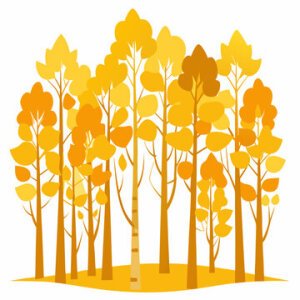 Fall Foliage Fun Run