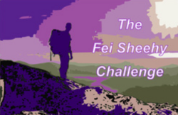 Fei Sheehy Challenge Logo
